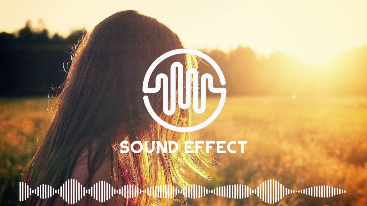 Download Music Free Online | Sro - Self Driving
