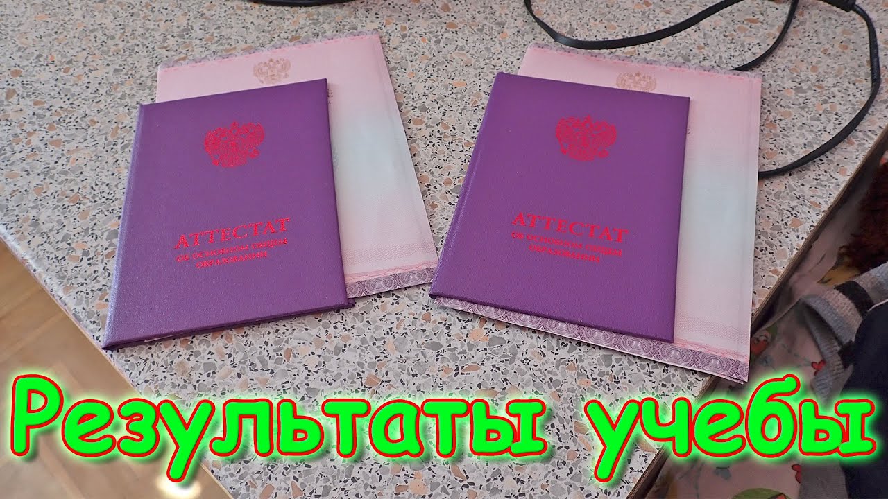 Результаты ОГЭ. Аттестат и оценки за 9 кл. Семейное образование. Школа. (08.22г.) Семья Бровченко.