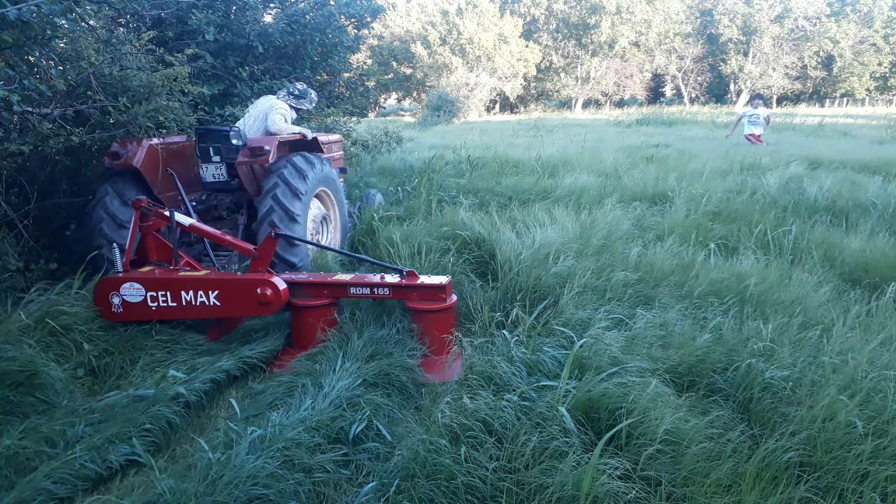 Teff gras yaz otu . Gariban k&ouml;yl&uuml; vol :2