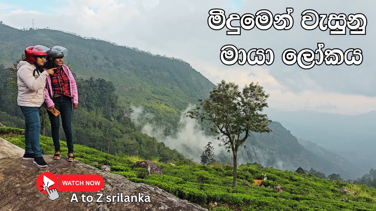 🌿✨ Lipton’s Seat, Sri Lanka | Breathtaking Views & Tea Estate Experience ☕🏞️ ලිප්ටන් සීට්