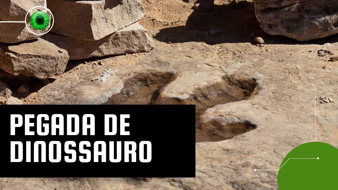 Pegada gigante de dinossauro é revelada após seca em rio no Texas