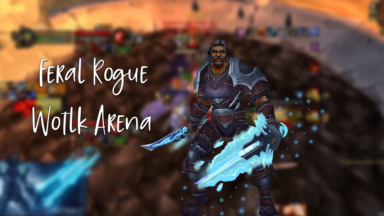 WOTLK classic ARENA PVP Feral Rogue INSANE Games