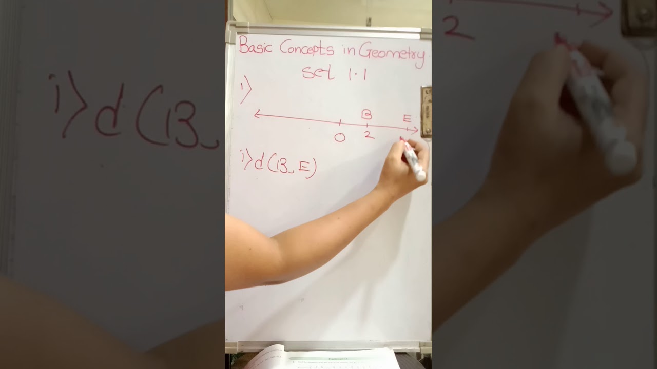 9th (ssc board)math ll - co-ordinate and distance set 1.1 (Q1 and Q2)
