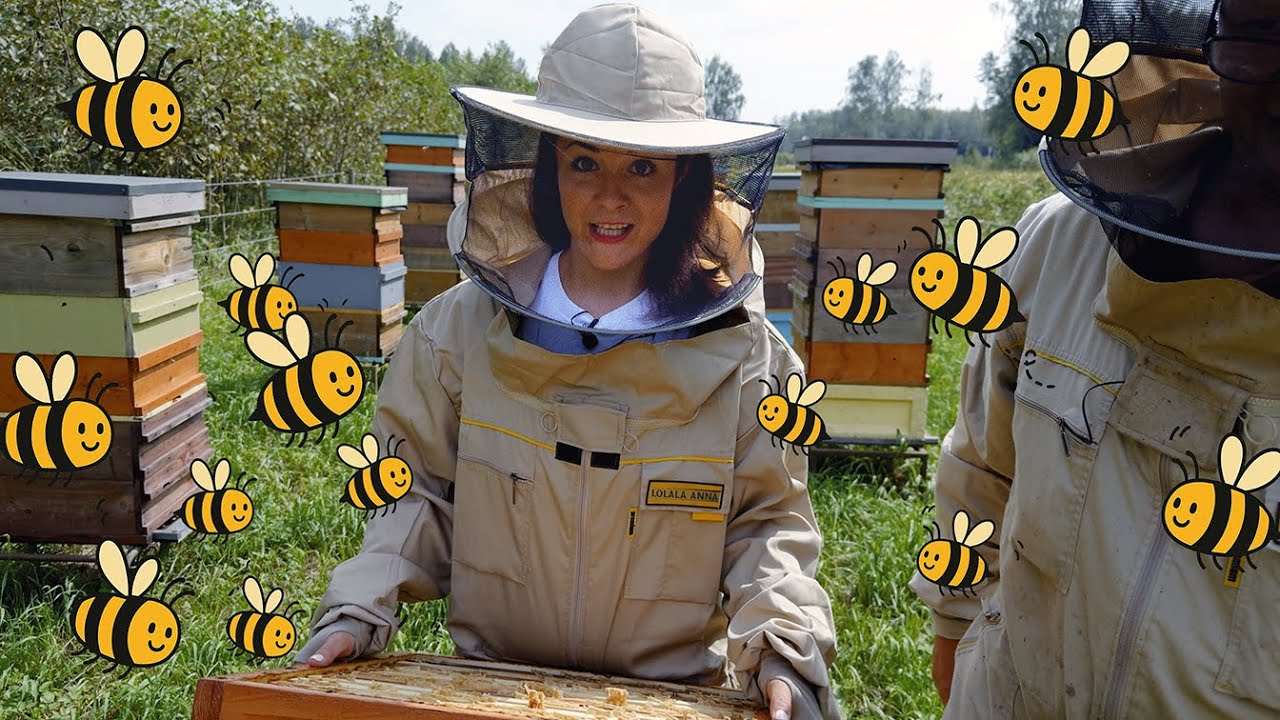 🍯 🐝 Lolala Anna korjab mett  | Lolala avastab | Harivad videod kogu perele