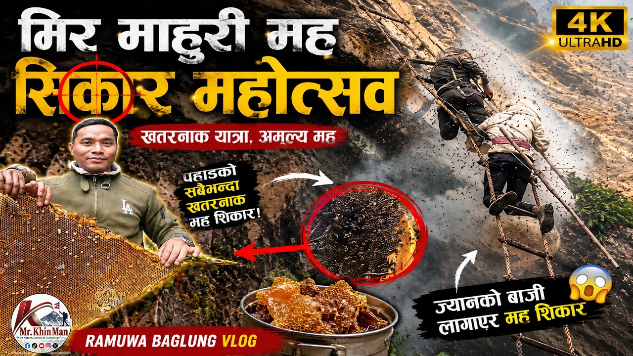 भिर माहुरी मह सिकार महोत्सव । ८०/८५घार एकै दिनमा निकाले । MAD Honey Hunting । @MrKhinMan