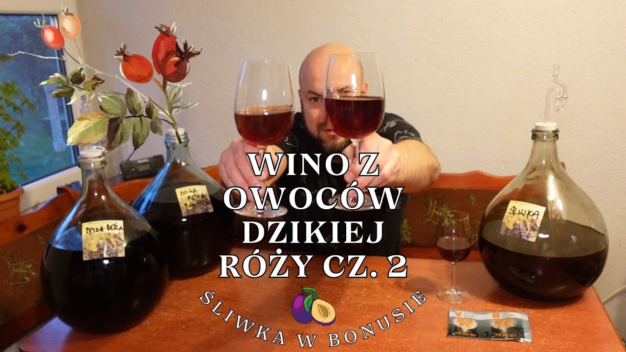 Wino z owoców dzikiej róży cz. 2 - śliwka w bonusie