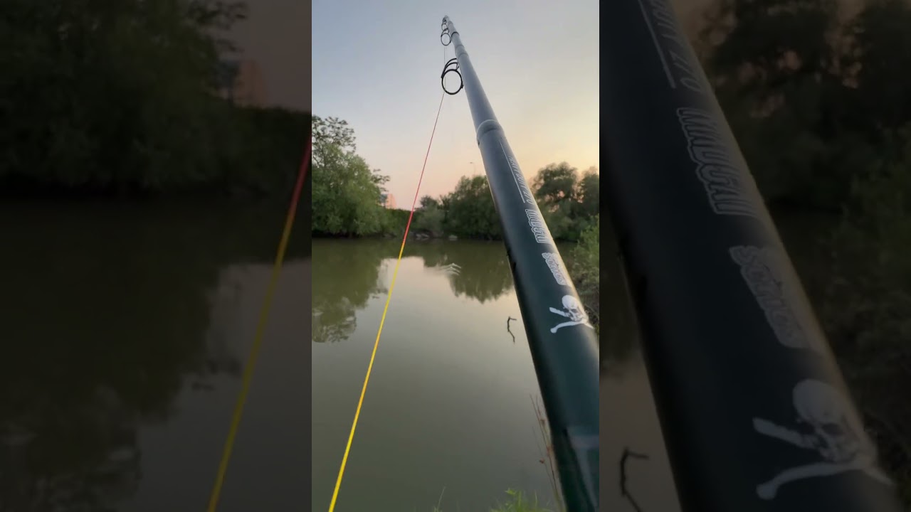Lov sumce na tyčovou bojku🎯#rybařen&iacute; #sumec #catfish #fish #fishing #rybolov #night #nightfishing