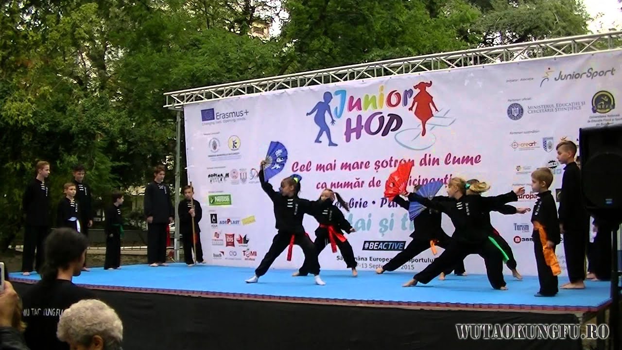 Demonstratie Kung Fu Wushu @ C.S.WuDao