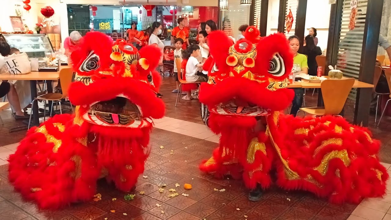 Lion Dance - Roar beyond control