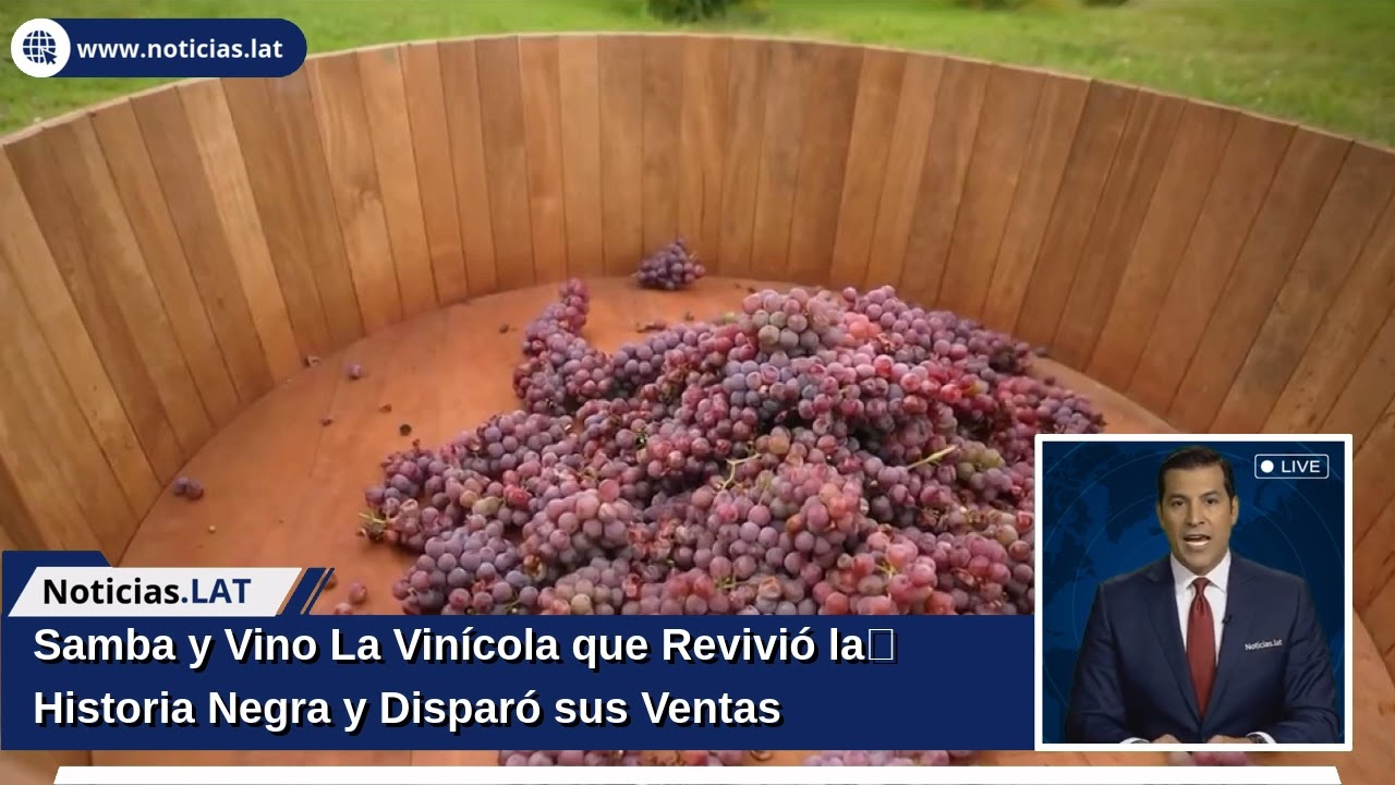 Samba y Vino: La Vinícola que Revivió la Historia Negra y Disparó sus Ventas