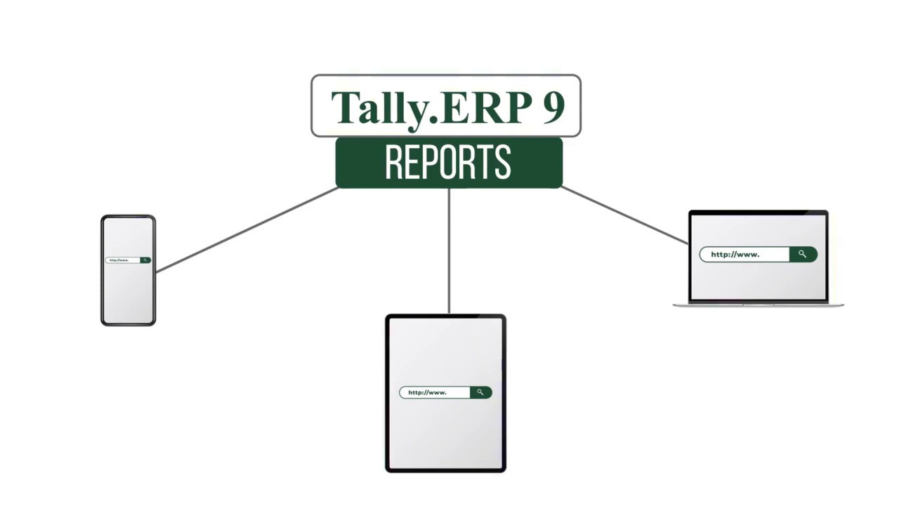 How to View Business Reports of Tally on the Browser