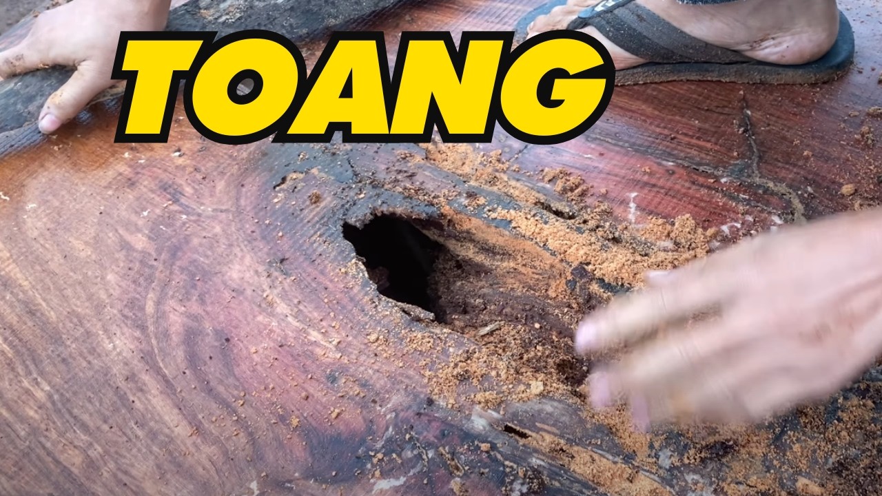Toang Tiền Tỷ Khi Xẻ Cây Cẩm Hồng Lớn Nhất Xưởng!| Sơn Sập Gỗ