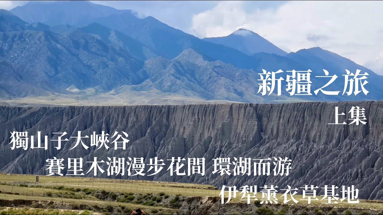 新疆之旅上集｜獨山子大峽谷｜賽里木湖 大西洋最後一滴眼淚｜伊犁薰衣草基地｜大峽谷駱駝｜賽里木湖羊駝｜薰衣草雪糕｜独山子大峡谷｜赛里木湖 ｜薰衣草冰淇淋｜Beautiful Xinjiang