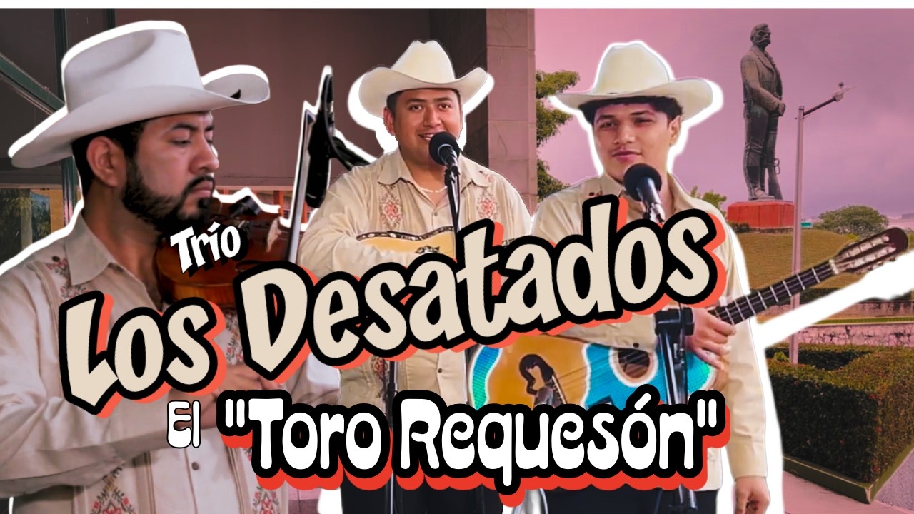 🔥EL TORO REQUESÓN 