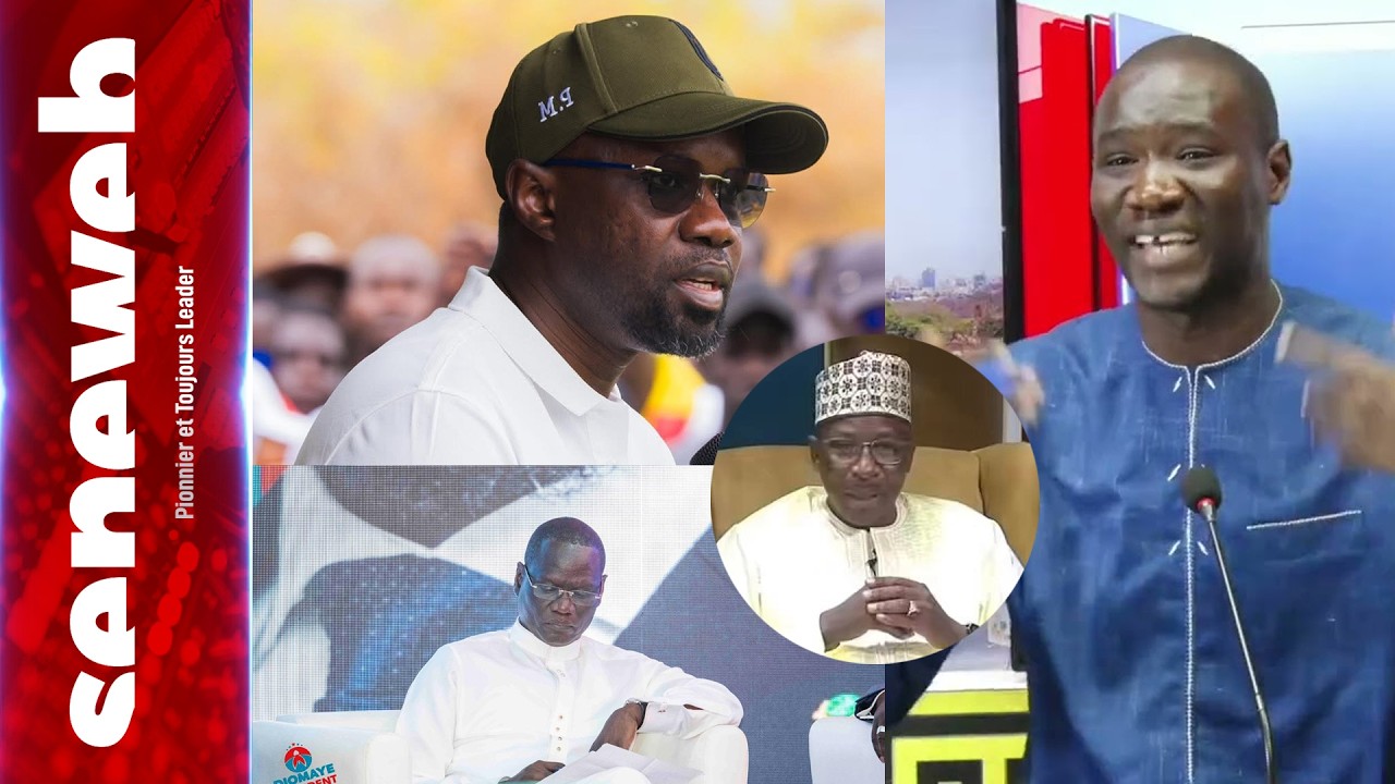 Démission au sein d’Awalé et parcours d’A. Diouf : les révélations de Cheikh T. Gueye.