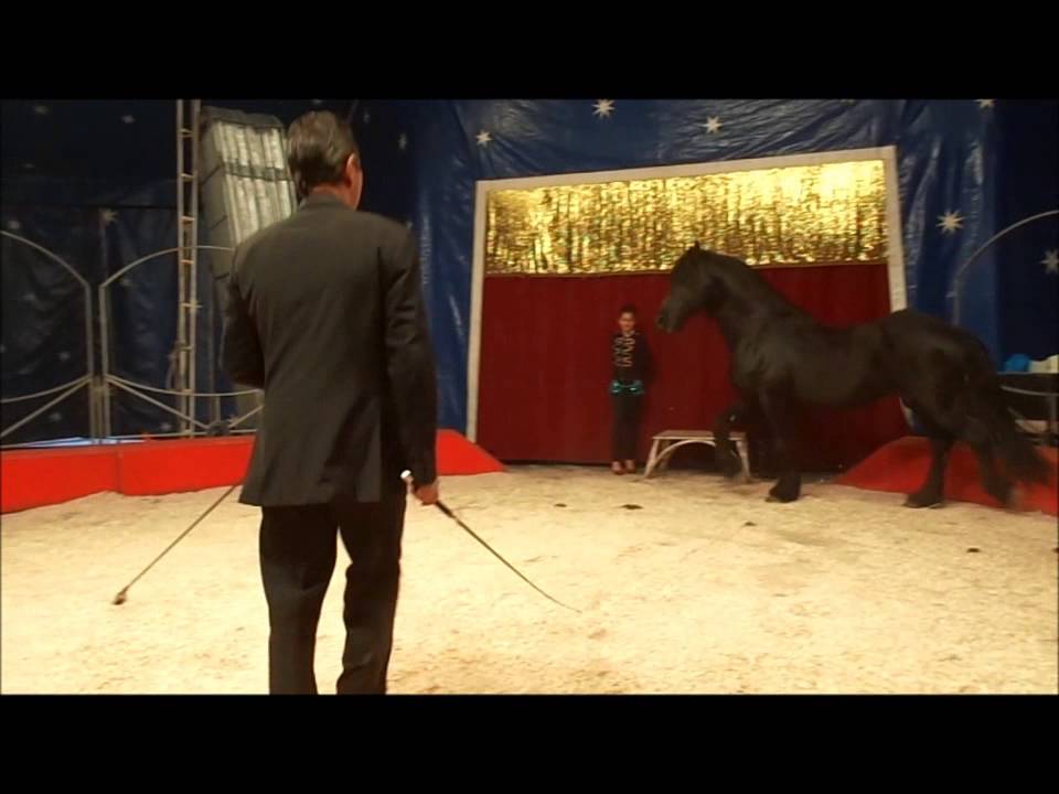 Un des Spectacle Equestre par Luciano Gougeon Cirque Italiano