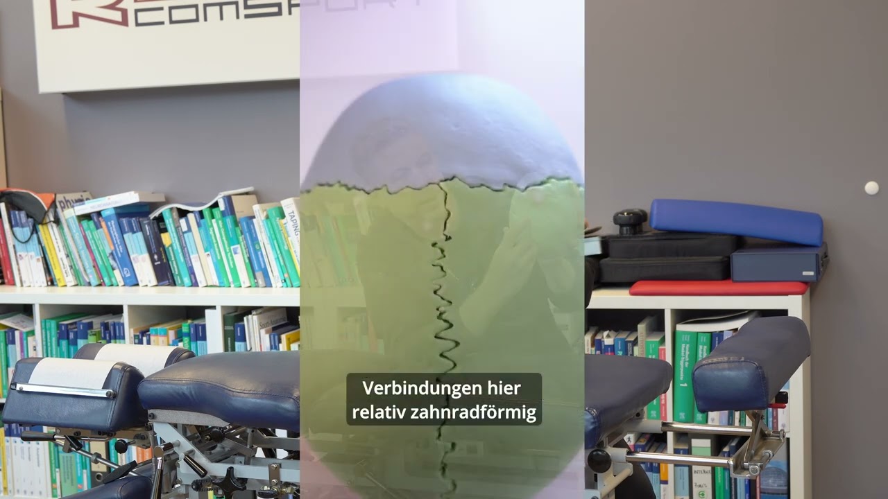 Der menschliche Schädel erklärt: Suturen, Knochen & Nervensystem I Björn Reindl - R2comSport