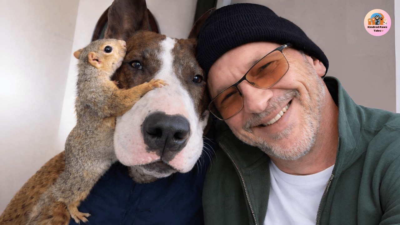 A Dog Waited by the Door Every Morning — Here’s Why