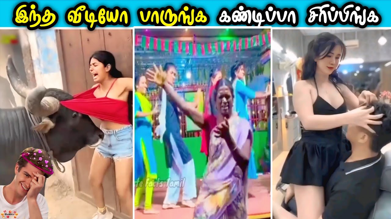மாடு கிட்ட மாட்டிக்கிட்ட பெண் தாறுமாறு காமெடிகள் | Top 25 best funniest videos Tamil