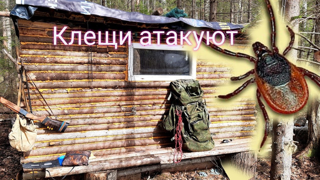 НОЧЁВКА  В ЛЕСУ.ПОСИДЕЛКИ У КОСТРА.КЛЕЩИ АТАКУЮТ....