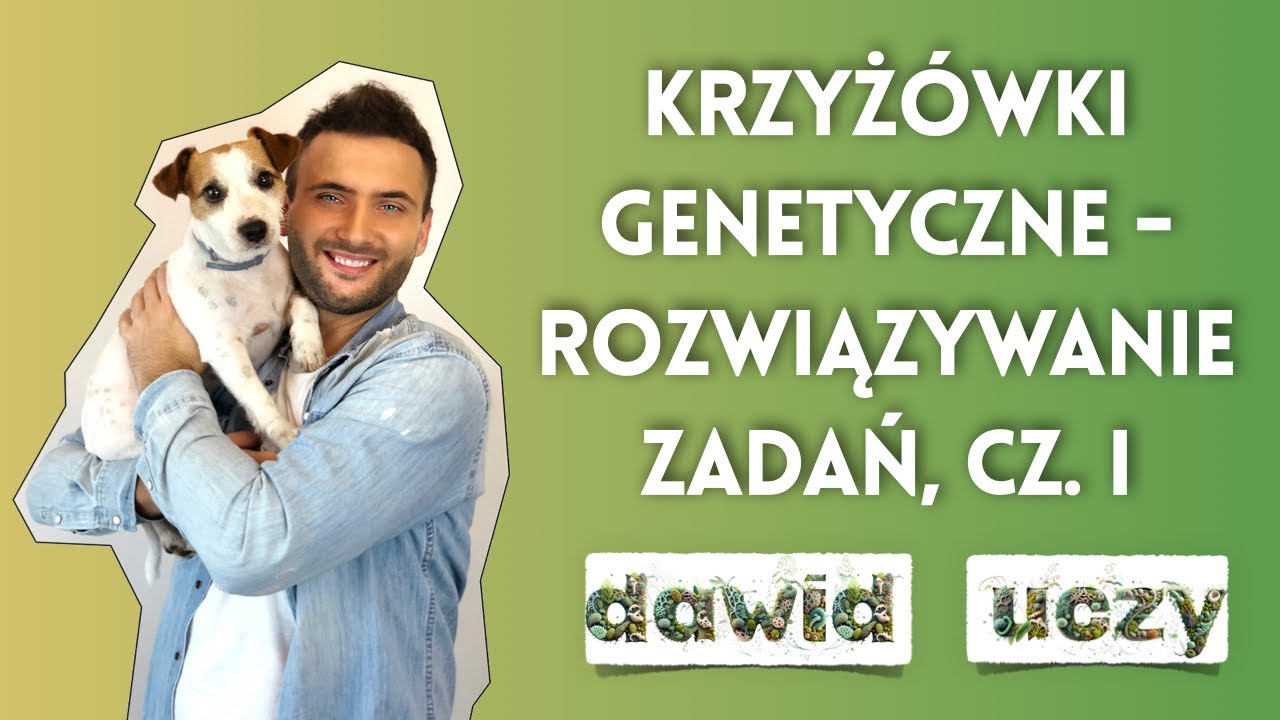 Krzyżówki genetyczne - rozwiązywanie zadań, część 1