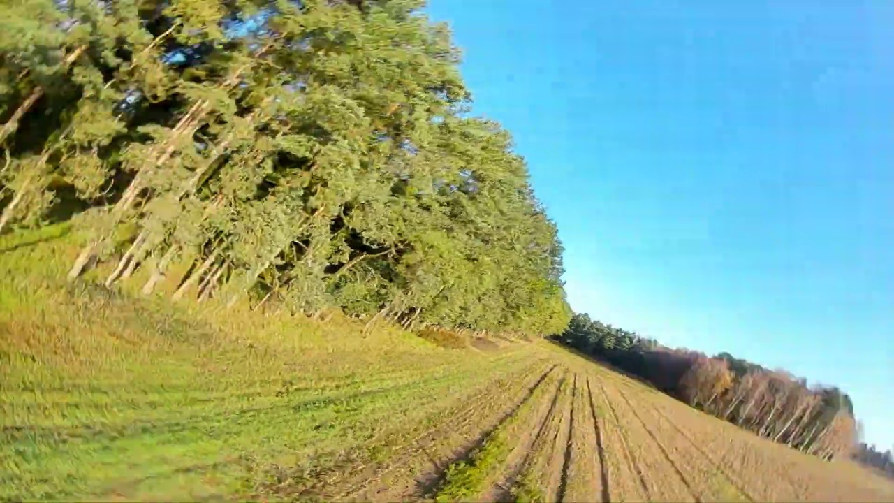 TransTec Beetle Hom / Flight test / FPV freestyle