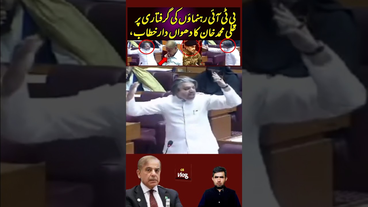 Ali Muhammad Khan's fiery speech on the arrest of PTI leaders, #imrankhan #pti #shorts
