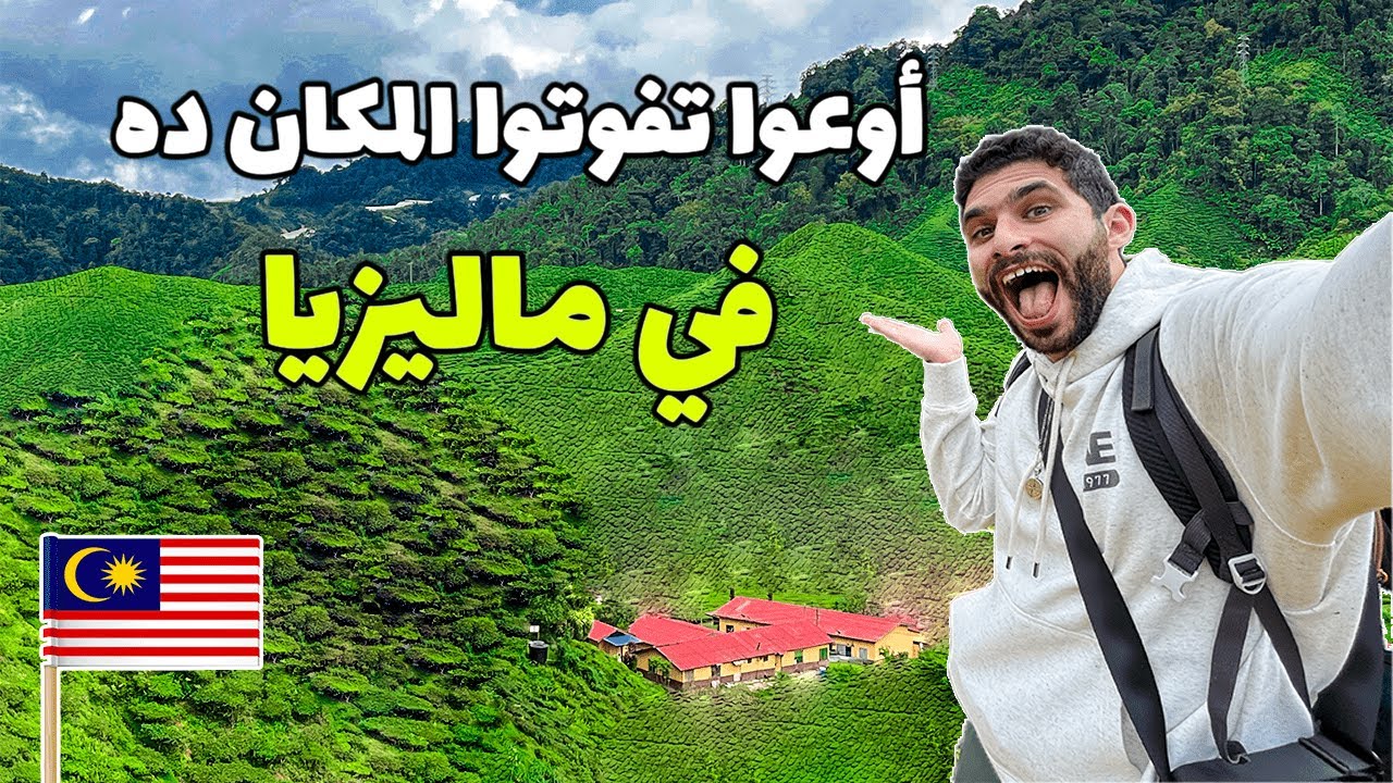 جولة في أجمل مدينة في ماليزيا مرتفعات الكاميرون!