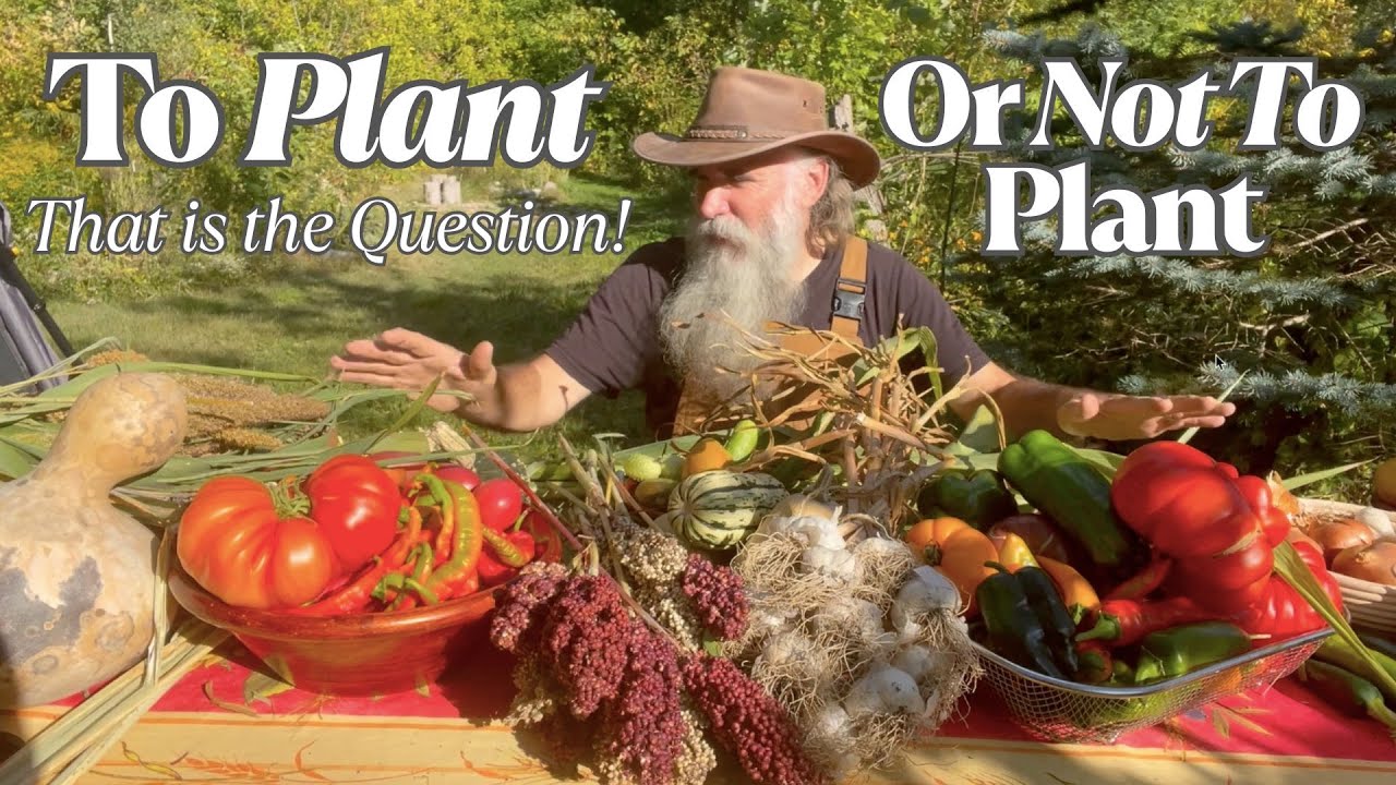 What to Grow & Not to Grow & to Do Differently! ADVICE From 6YRS of Growing ALL Our Food FOR A YEAR!