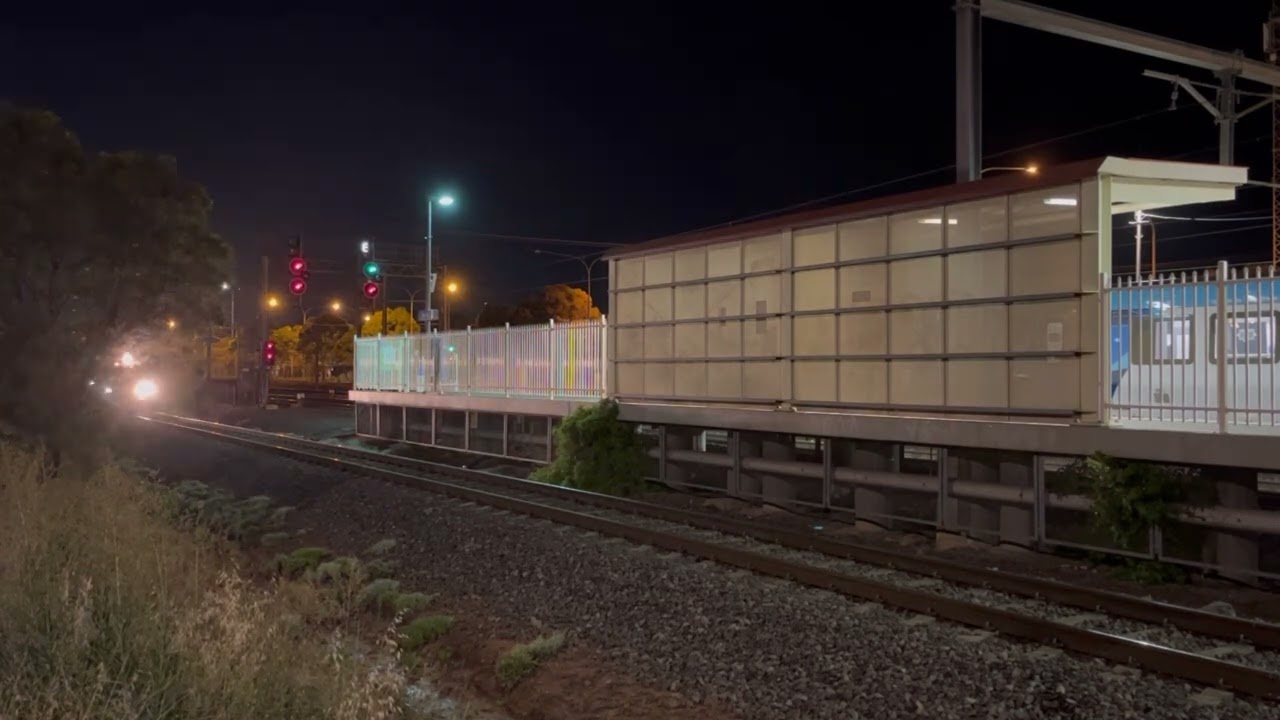 PN Light Loco XR559 G527 8113 