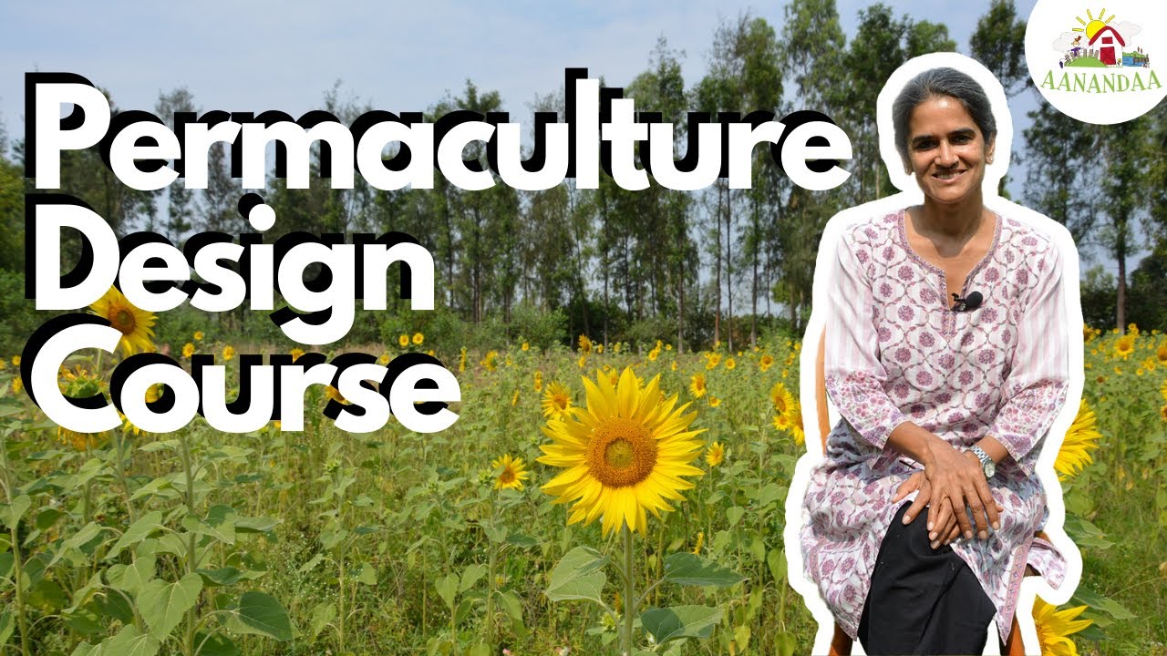 Everything you need to know about a Permaculture Design Course (PDC)!