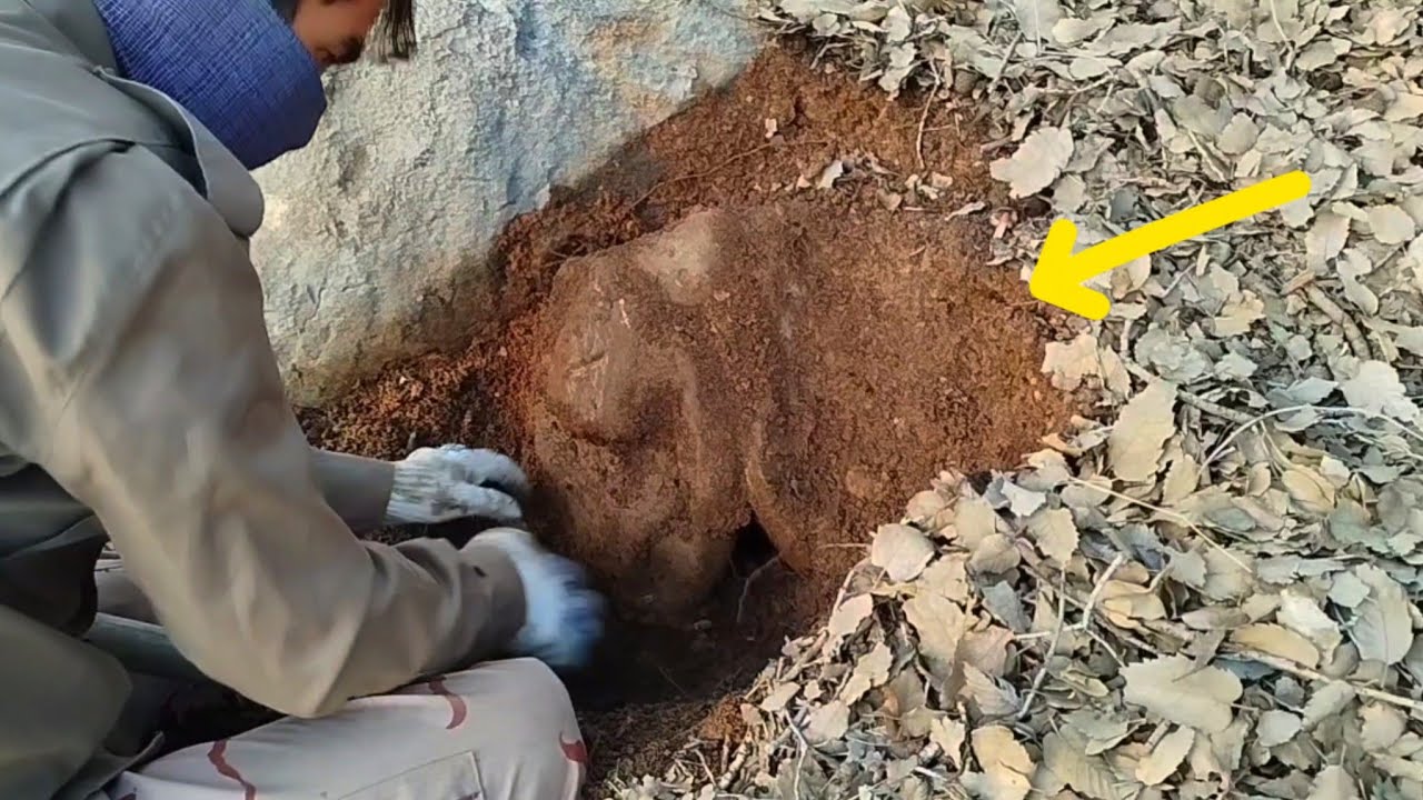 What Was Hidden Underground Shocked Everyone 😱