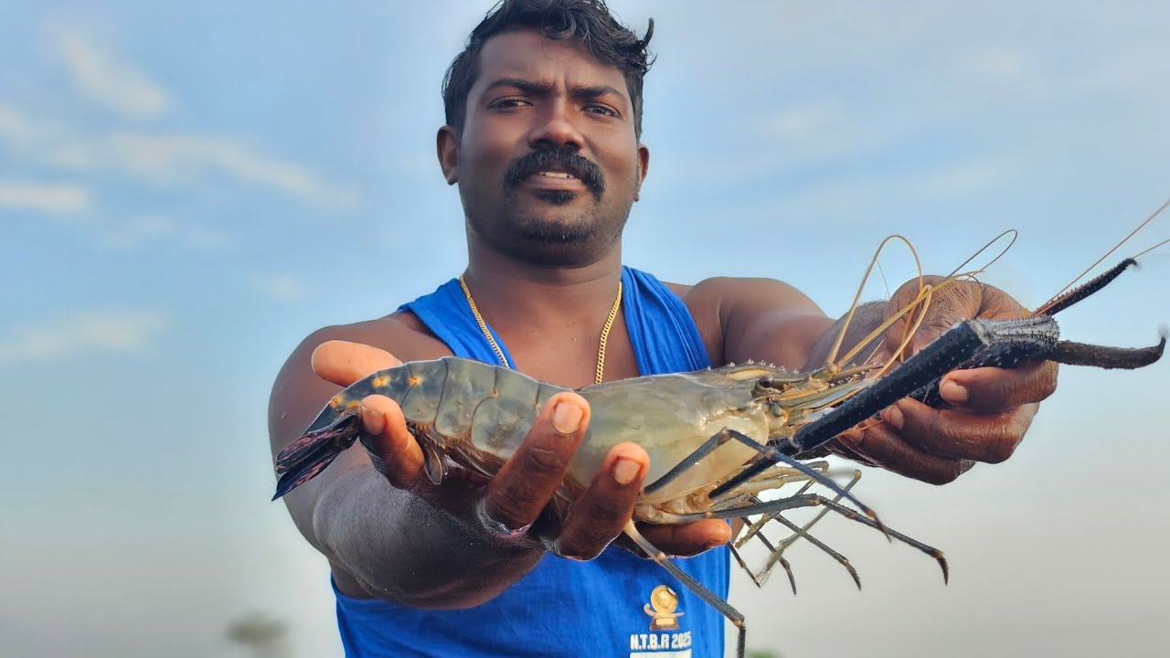 പ്രതീക്ഷിച്ചതുo കിട്ടി, പ്രതീക്ഷിക്കാത്തതും കിട്ടി |Earth Lovers media |Real life vlog 