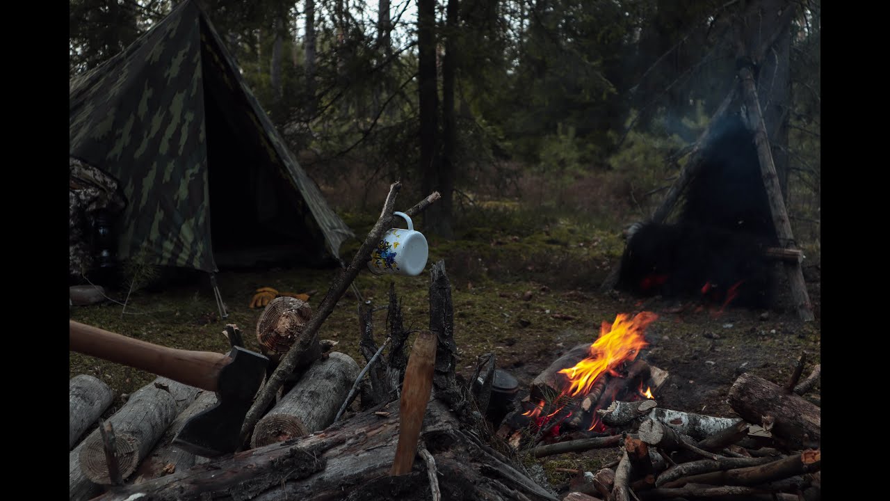 2 Days Solo Wild Camping in Woods with My Dog - Belgian Military Tent - Hot Dogs - Bushcraft - ASMR