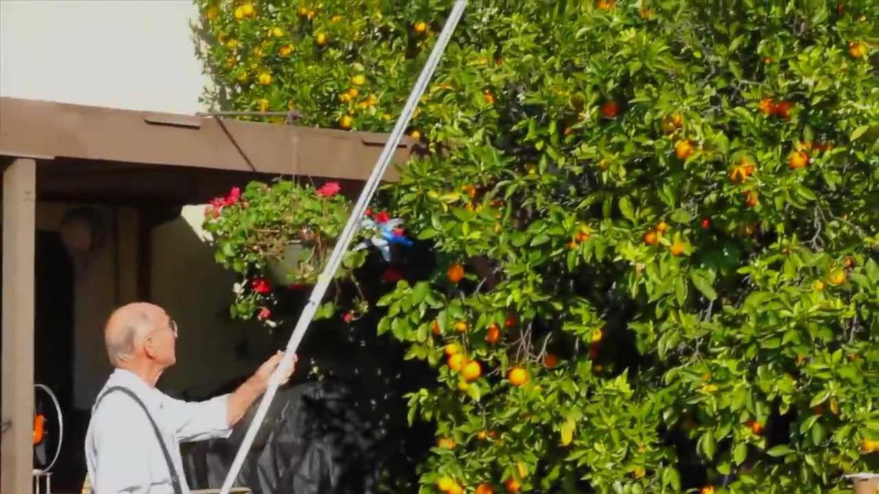Introducing The Twister Fruit Picker®