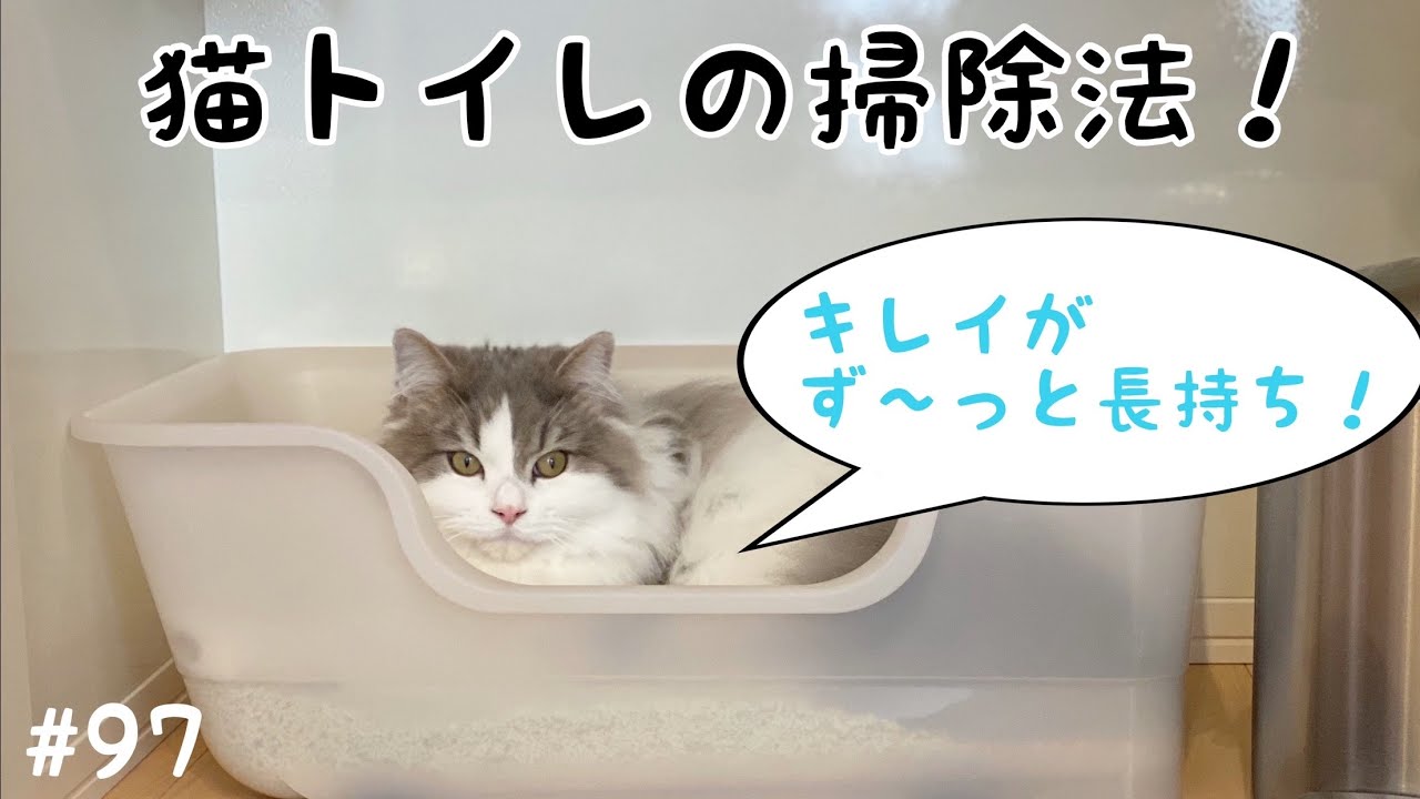 【目からウロコの猫トイレ掃除法！】新しい猫用トイレを買いました