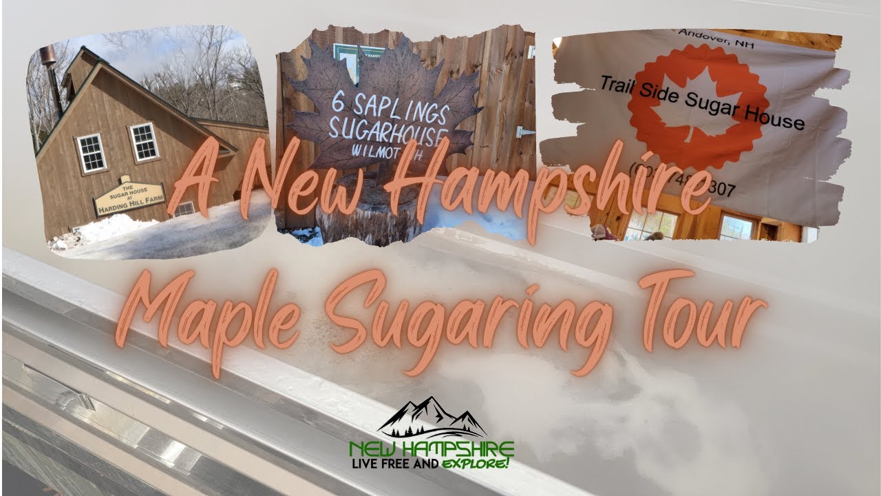 A NH Maple Sugaring Tour