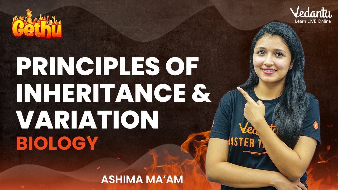 Principles of Inheritance & Variation Class 12 Biology | Gethu Series | Vedantu Master Tamil