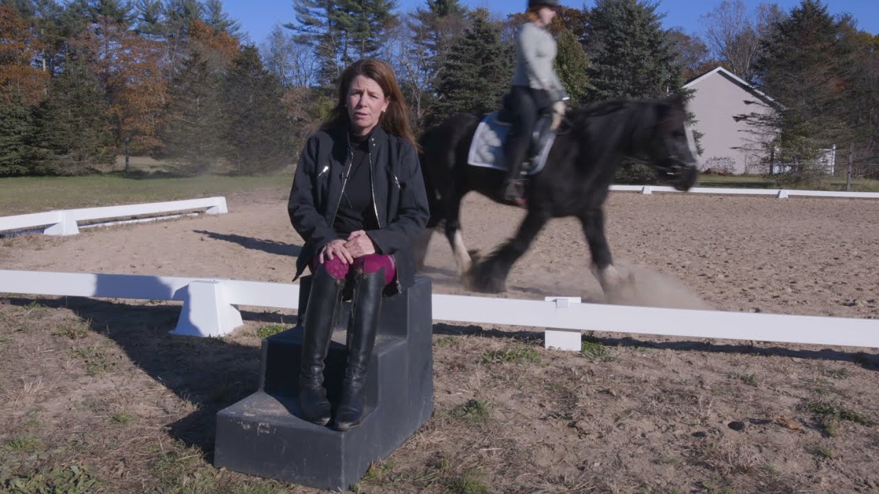 Free Horse Training Series - Riding Lessons and Groundwork that take you through the Training Scale.