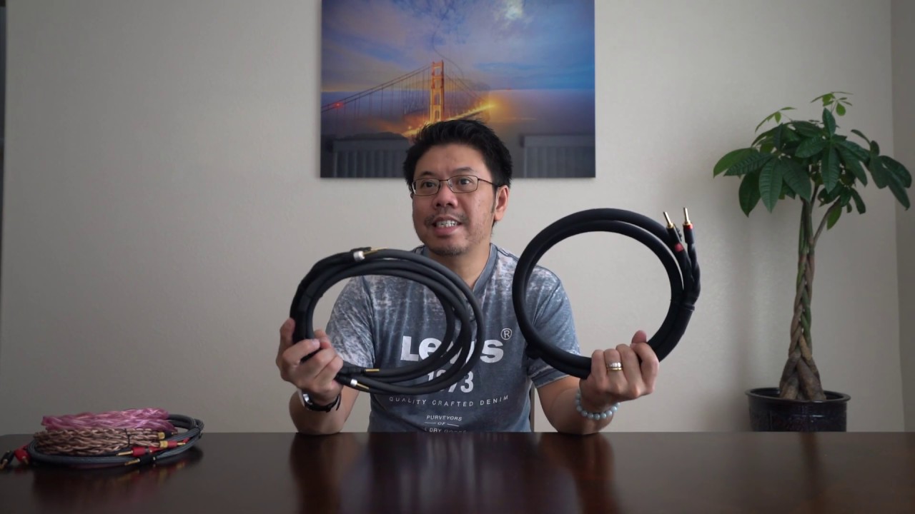 The Best Speaker Cables ?
