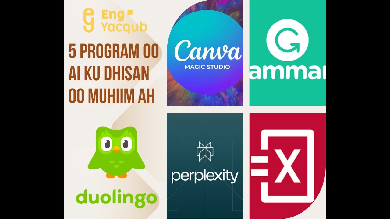 5 PROGRAM OO AI KU DHISAN OO NOLASHAADA WAX BADAN KA BEDELI KARA