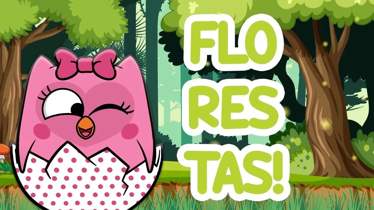 Maratona Conhecendo a NATUREZA 🌳 +50min | Bubu e as Corujinhas