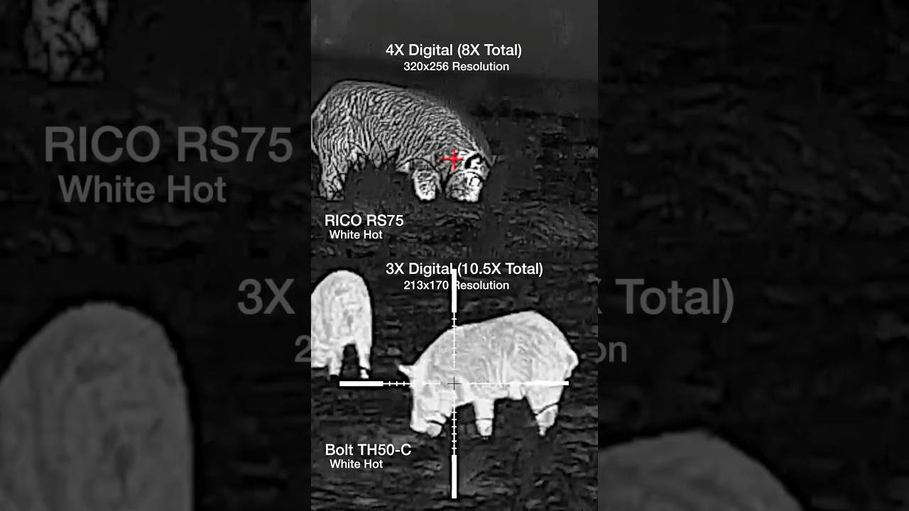 640 vs 1280 #thermal #hunting #hoghunting