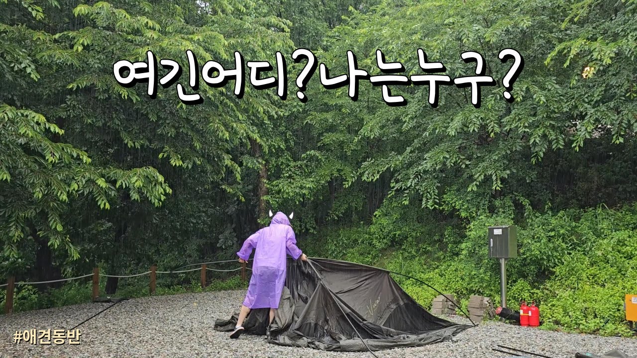 빗소리 찾아 떠난 우중캠핑/텐트 피칭하다 현타 제대로온날/퇴근박은 아닌것 같애..😭/애견동반