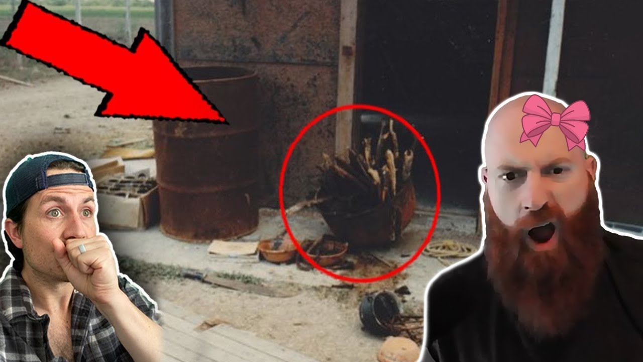 Top 3 Stories That Sound Fake but are 100% Real Part 12 | Xeno Reacts (While Bald and Wearing a Bow)