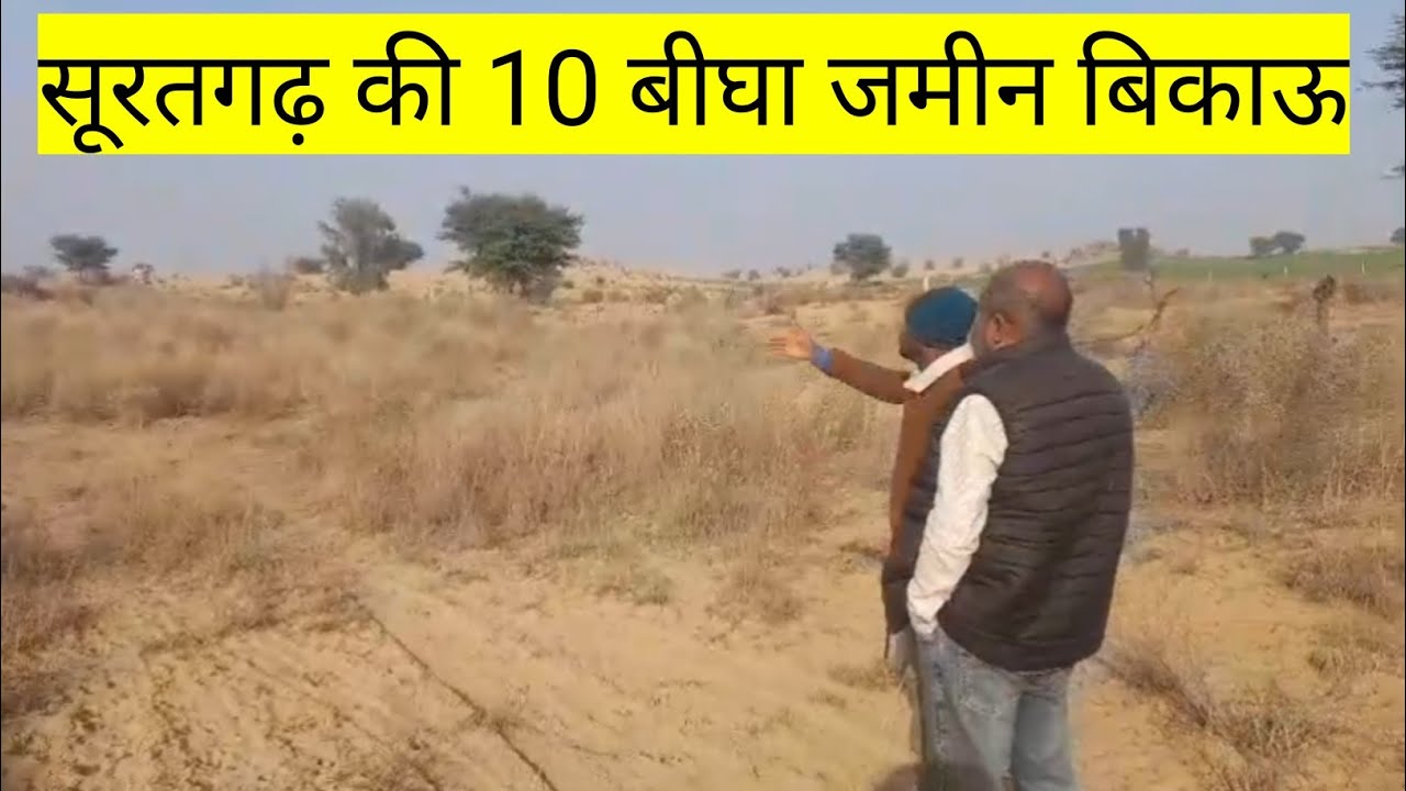 सूरतगढ़ की 10 बीघा जमीन बिकाऊ। सूरतगढ़ की सस्ती जमीन बिकाऊ।#rajsthanproperty #farming #land