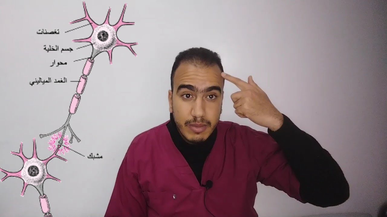 مقدمة في علم النفس الفيزيولوجي ( مقدمة تأطيرية لوحدة علم النفس الفيزيولوجي)