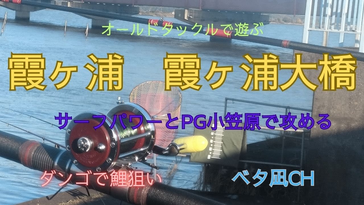 霞ヶ浦大橋で狙う鯉