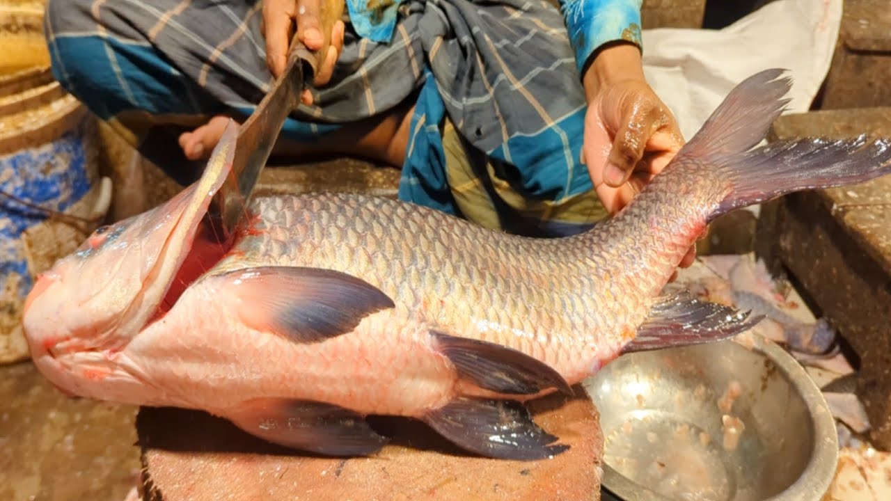 Incredible Giant Black Catla Carp Fish Cutting & Chopping In Bangladesh Local Fish Market