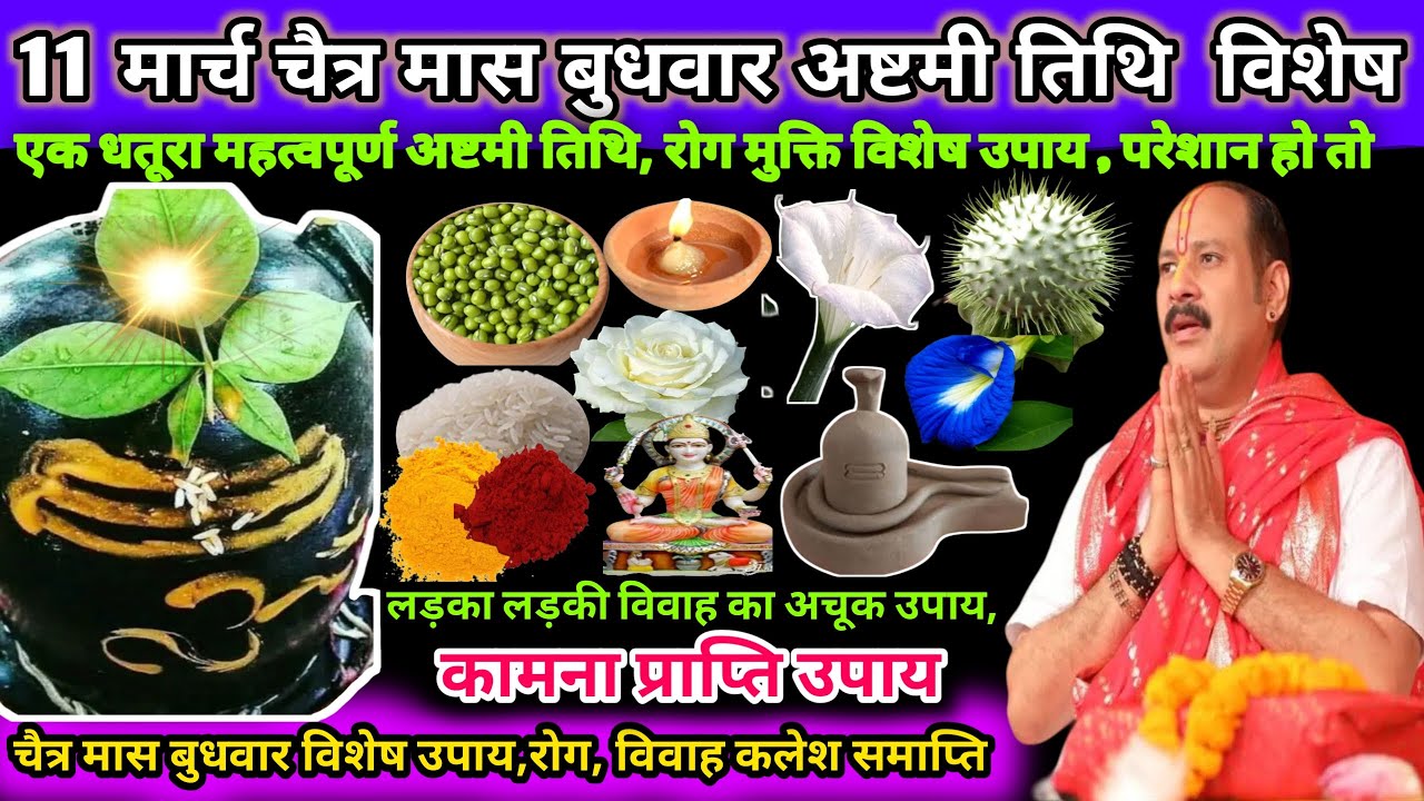 11 मार्च चैत्र मास बुधवार अष्टमी तिथि विशेष। एक धतूरा महत्वपूर्ण, रोग मुक्ति विशेष उपाय 🌿🔱#shiv#upay